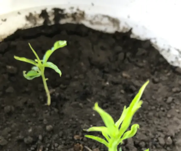 BADA.TV 바다티비