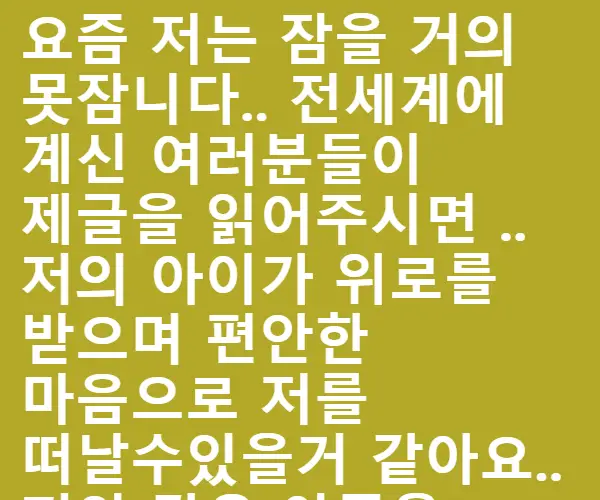 BADA.TV 바다티비