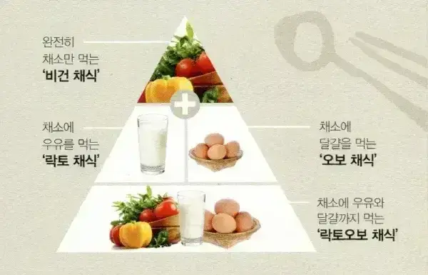 BADA.TV 바다티비