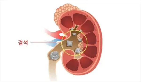 BADA.TV 바다티비