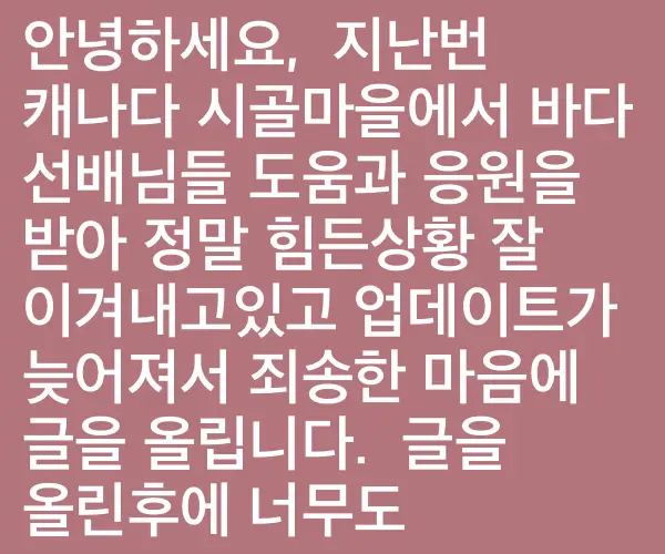 BADA.TV 바다티비