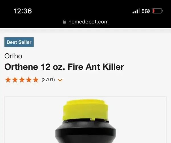 BADA.TV 바다티비