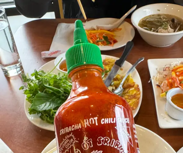 BADA.TV 바다티비