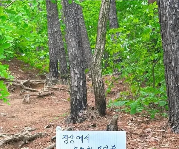 BADA.TV 바다티비