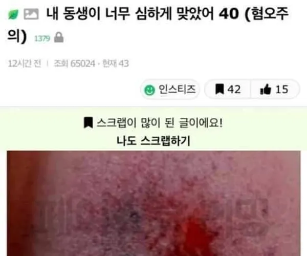 BADA.TV 바다티비