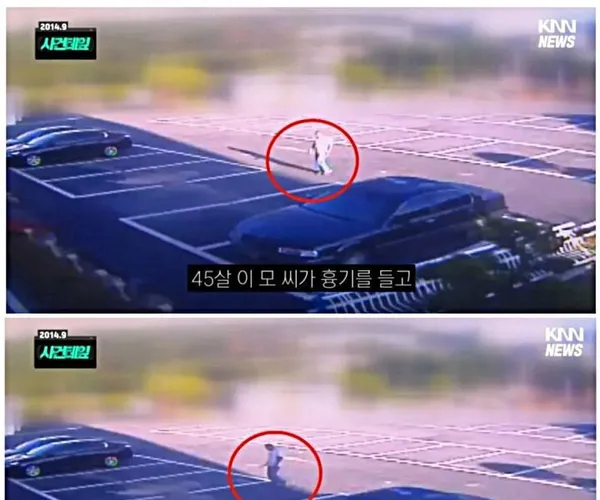 BADA.TV 바다티비