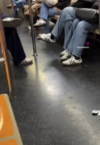 BADA.TV 바다티비