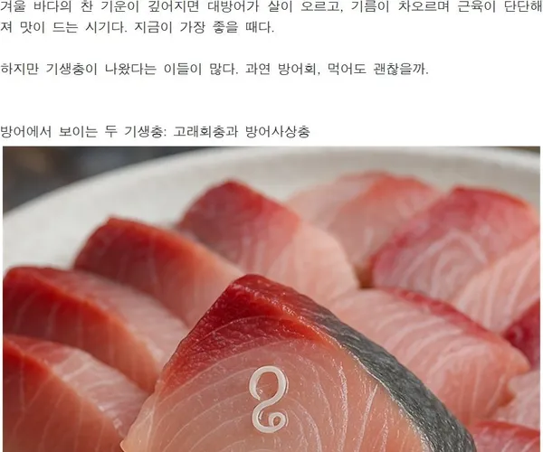 BADA.TV 바다티비