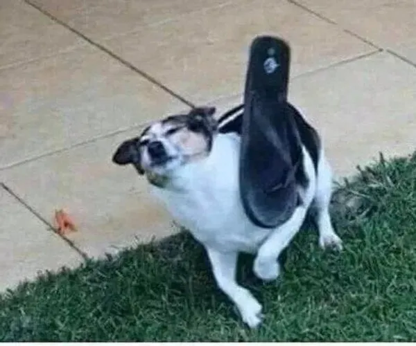 BADA.TV 바다티비