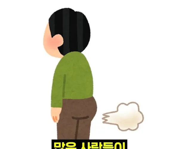 BADA.TV 바다티비