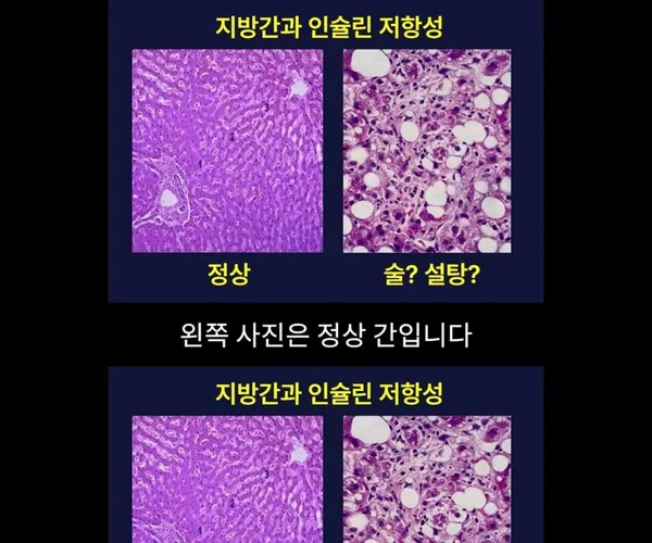 BADA.TV 바다티비