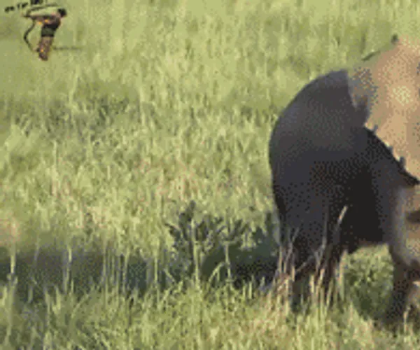 BADA.TV 바다티비