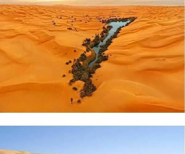 BADA.TV 바다티비