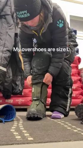 BADA.TV 바다티비