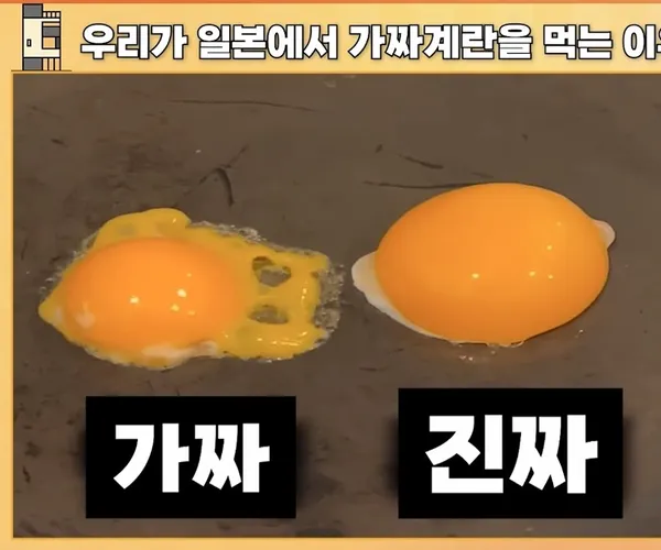 BADA.TV 바다티비