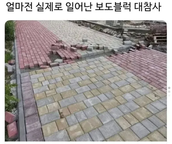 BADA.TV 바다티비