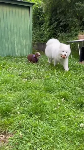 BADA.TV 바다티비