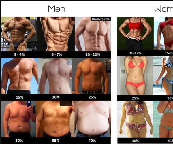 BADA.TV 바다티비