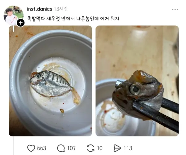 BADA.TV 바다티비