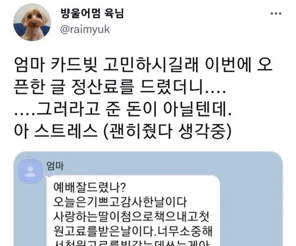 BADA.TV 바다티비