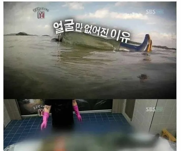 BADA.TV 바다티비