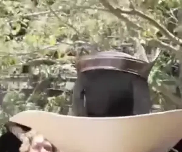 BADA.TV 바다티비