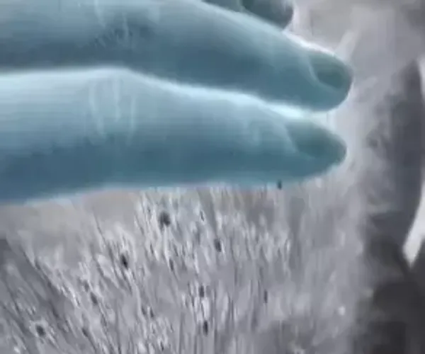 BADA.TV 바다티비