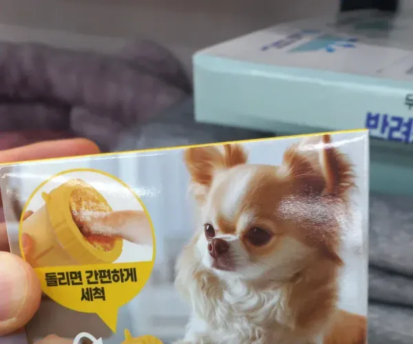 BADA.TV 바다티비