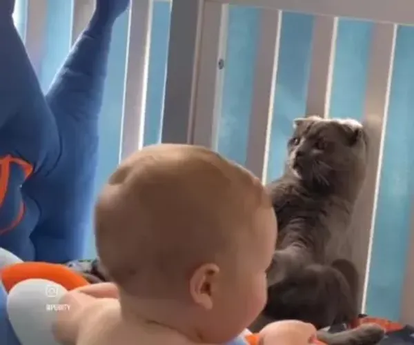 BADA.TV 바다티비