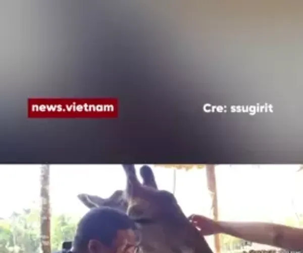 BADA.TV 바다티비