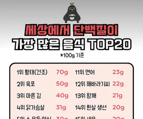 BADA.TV 바다티비