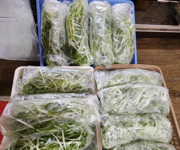 BADA.TV 바다티비