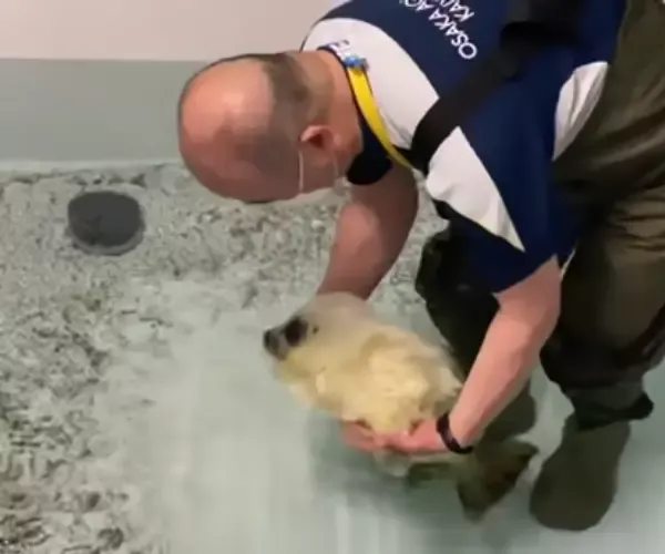 BADA.TV 바다티비