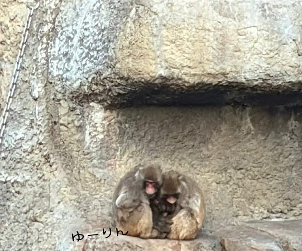 BADA.TV 바다티비