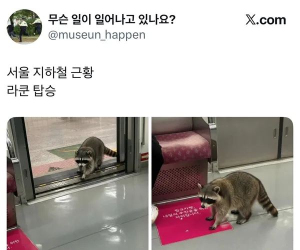 BADA.TV 바다티비