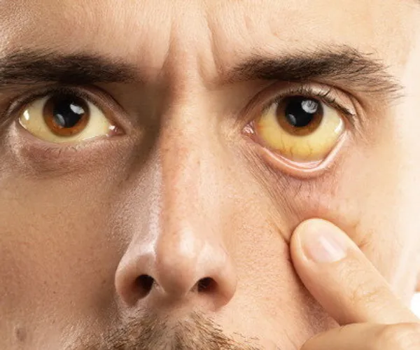 BADA.TV 바다티비