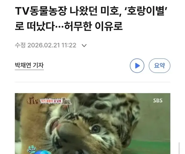 BADA.TV 바다티비