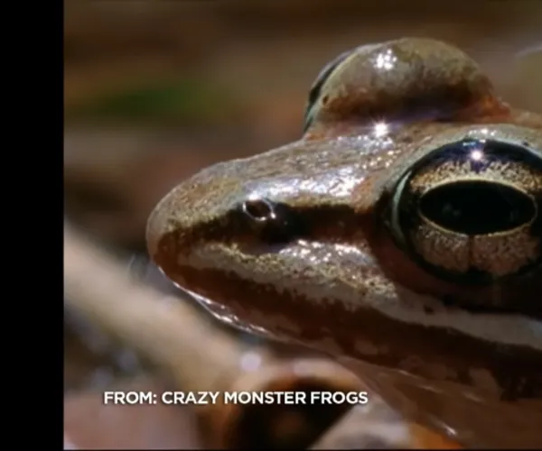 BADA.TV 바다티비