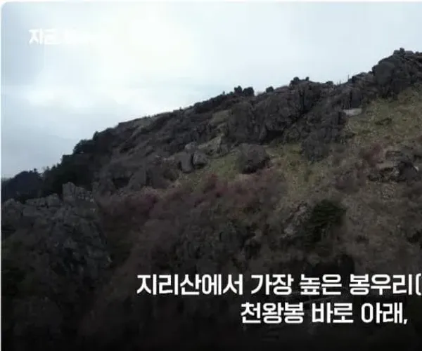 BADA.TV 바다티비