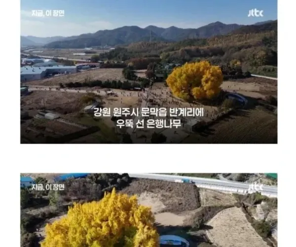 BADA.TV 바다티비