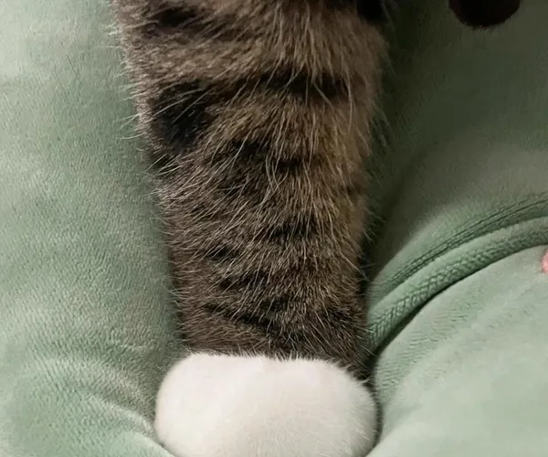 BADA.TV 바다티비