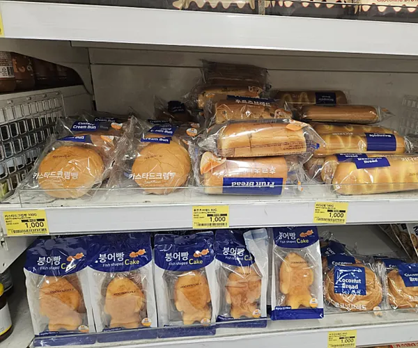 BADA.TV 바다티비