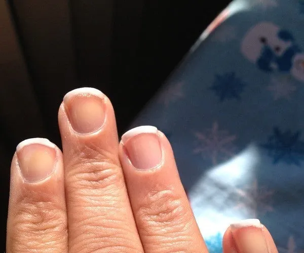 BADA.TV 바다티비