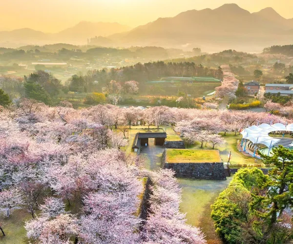 BADA.TV 바다티비