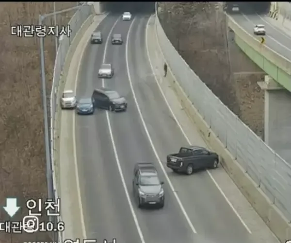 BADA.TV 바다티비