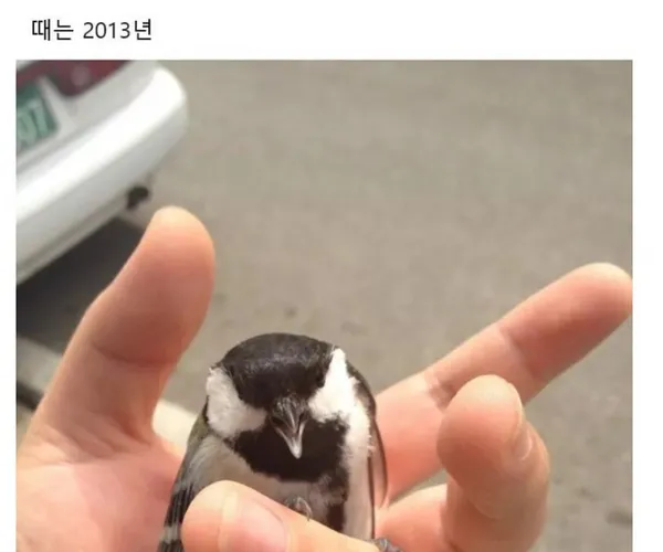 BADA.TV 바다티비