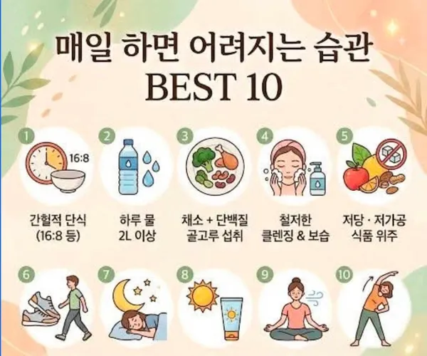 BADA.TV 바다티비