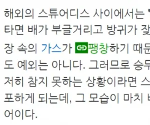 BADA.TV 바다티비