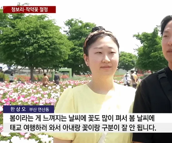 BADA.TV 바다티비