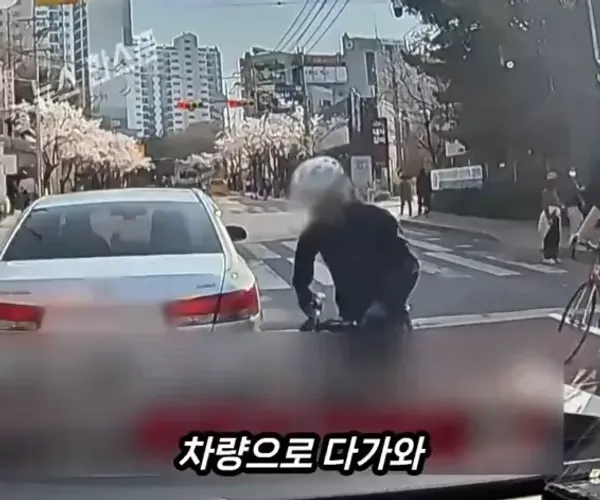 BADA.TV 바다티비